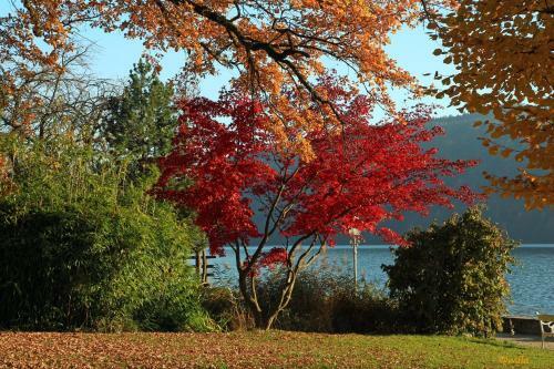 Bed & Breakfast Pension Alte M�hle