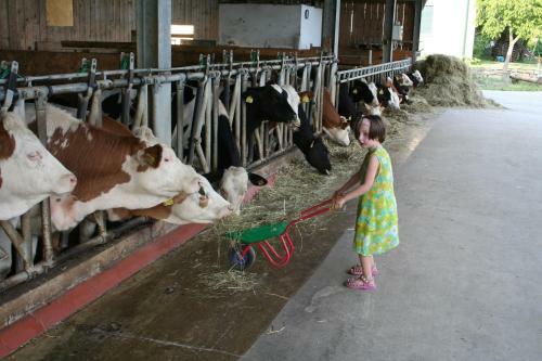 Agroturismo Kerndlerhof