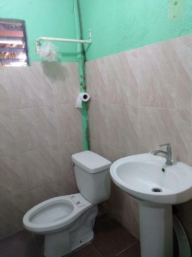 Amber Homestay