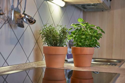 Apartamento Ferienwohnungen Haus Elisabeth