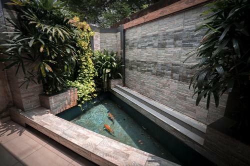 Party Haus For 20 Pax