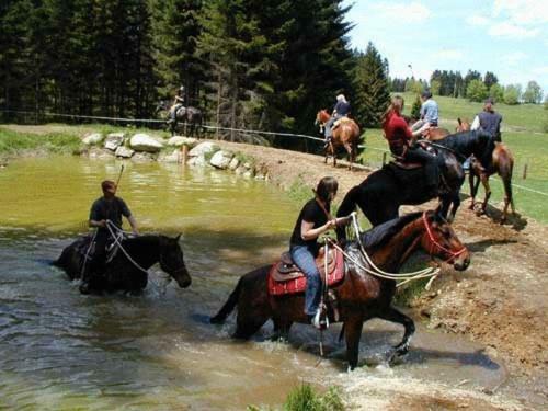 Agroturismo Espi-stables Ferienhof Esterhammer
