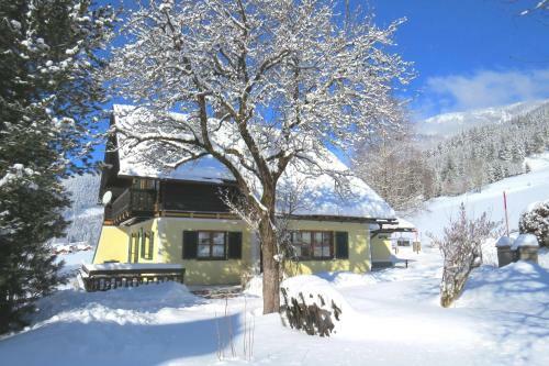 Ferienhaus Anke - Ausseerland