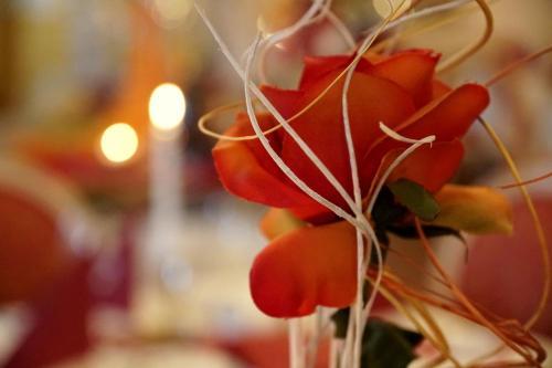 All Inclusive Hotel Sonnenh�gel