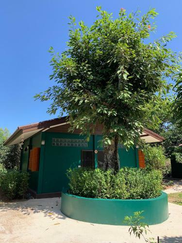 Homeandhomestay Chiang Kham