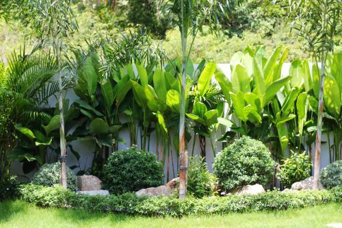Villa Iyara Piscine Priv�e Et Jardin Tropical
