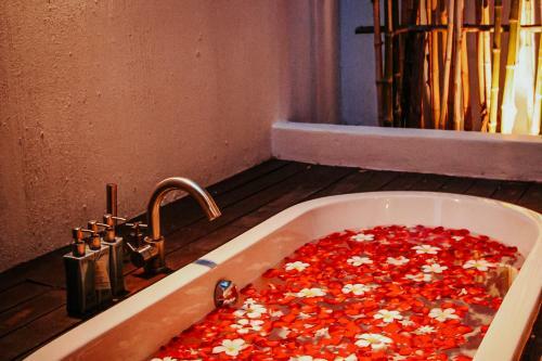 Hotel Mimosa Beachfront Resort And Spa