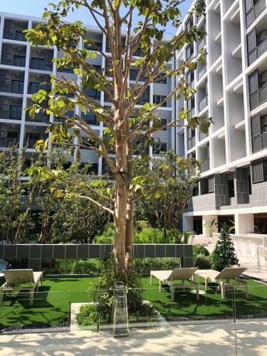 Huahin Apartment Near Beach