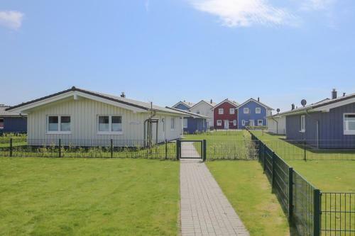 Ferienhaus - Felsenauster