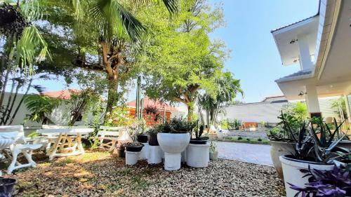 Zerene Garden Pool Villa
