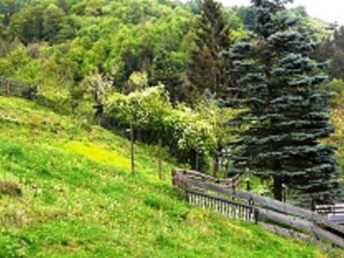 Big Holidayhome In Rubeland With Terrace