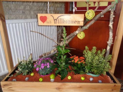 Hostal Panorama-hotel Cursdorfer H�he