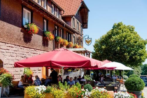 Land-gut-hotel H�hengasthof Adler