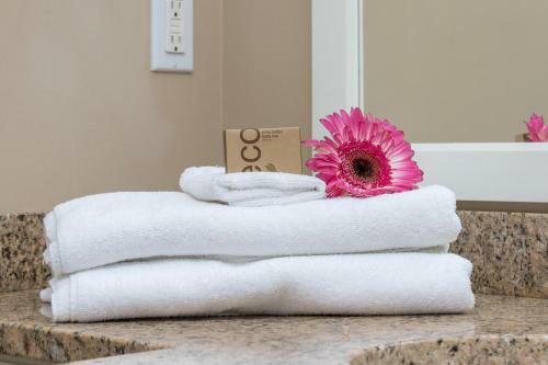 Apartamento New Gorgeous Sidney Miraloma