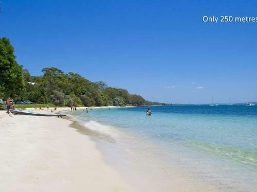 Christmas Bush Ave 3 At 11a