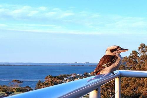 Pacific Waters - Unbeatable Views Of Port Stephens