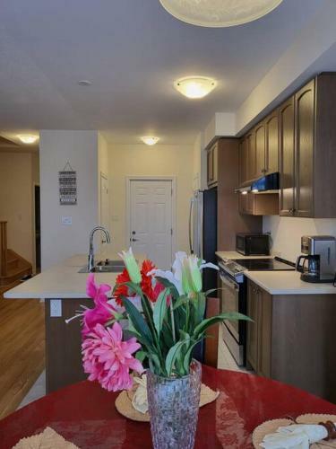 New Luxurious Home Minutes From Niagara Falls