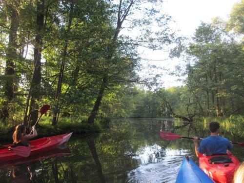Apartamentos Blugarden Ferienapartments Im Spreewald