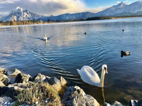 Hotel Fischer Am See