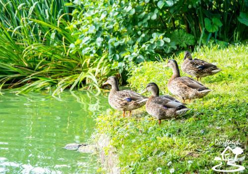 Apartamento Haus Am Dorfteich Fehmarn