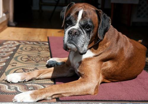 Apartamento Heinsens Ellerbek