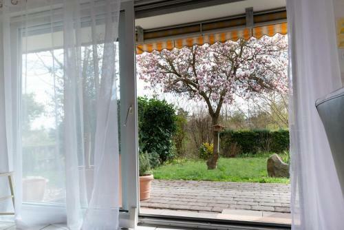 Apartamento Fewo Oasis