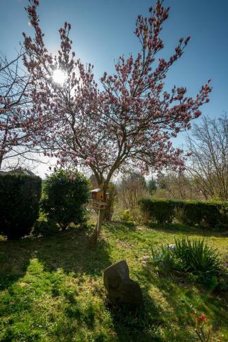 Apartamento Fewo Oasis