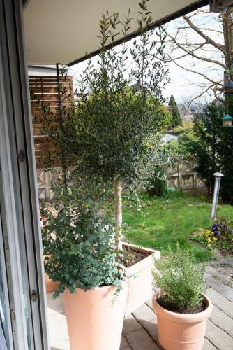 Apartamento Fewo Oasis