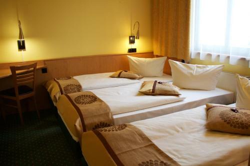 Acron Hotel Wittenberg