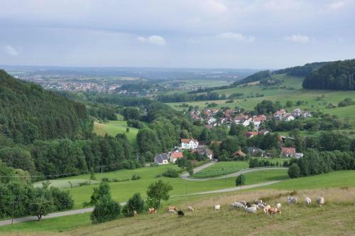 Hotel Landgasthof H�lzle