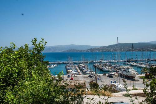 Luxury Apartment Marine View