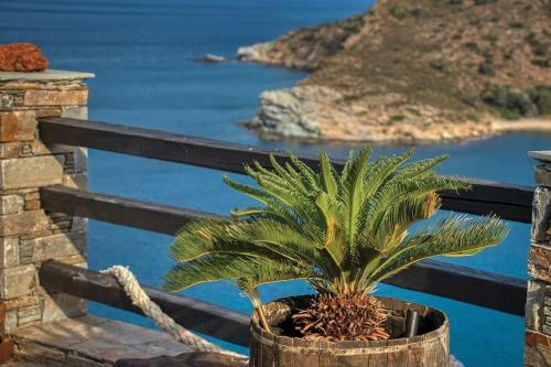 Karystos Villa Private Pool Beach Seaside Karnagio