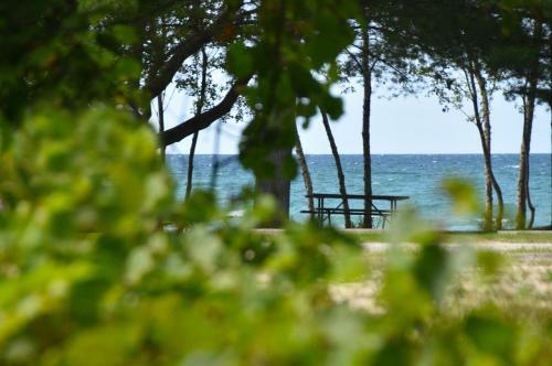Apartamento Adrians Wasaga Beach