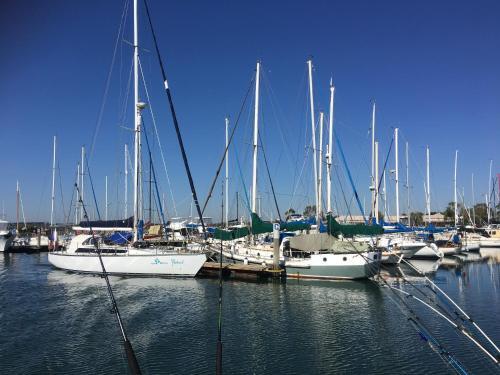 Luxury On The Water (private Luxurious Boat)