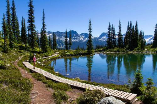 Apartamento Creekside Studio By Cozystay Signature Whistler