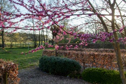 Bed & Breakfast Villa Gerhagen