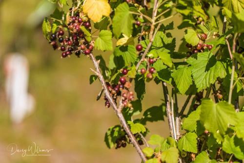 Biohoeve 't Bezige Bieke Met Priv� Wellness