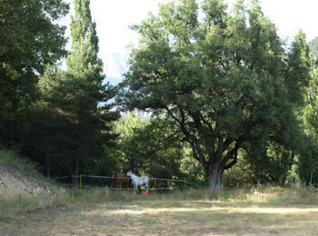 Alberg Torre Del Bar�