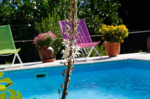 Apartamentos La Solana de Monfrag�e