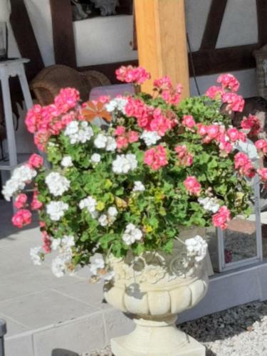 Bed & Breakfast La Maison Du L.a.c.