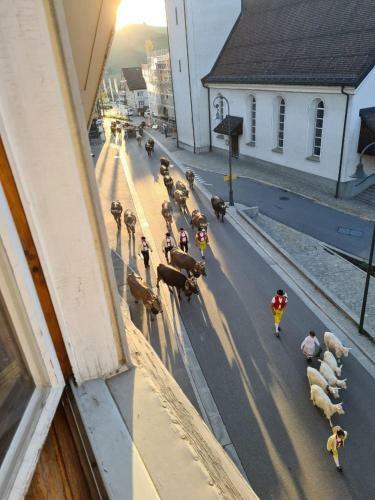 Apartamento Ferienwohnung Papa Moll