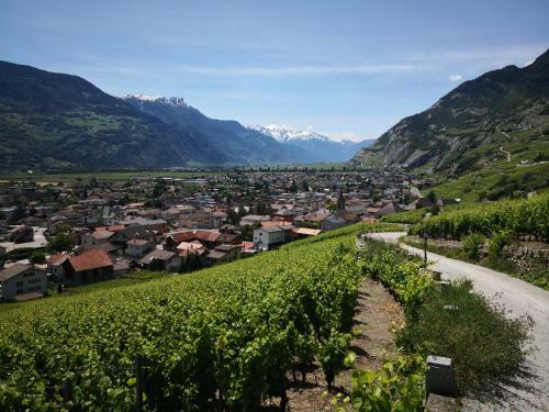 Villa Tout Confort Valais Centrale 6 A10 Personnes