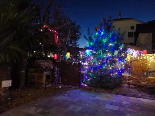 Villa Tout Confort Valais Centrale 6 A10 Personnes