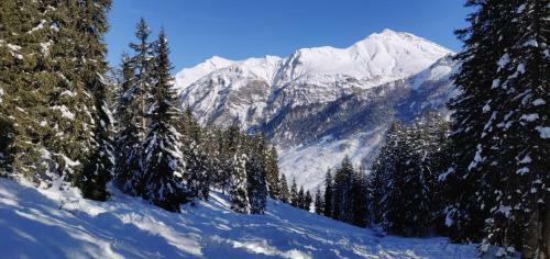 Apartamento Z Studio - Next Door To Vals Therme