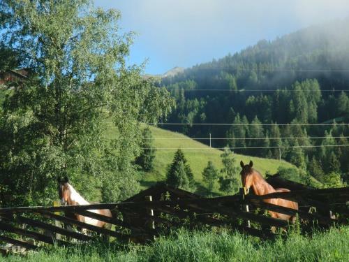Aparthotel Naturresidenz Theistadl