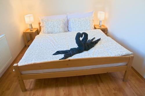 Hostal Penzion St?�brn� Lhota