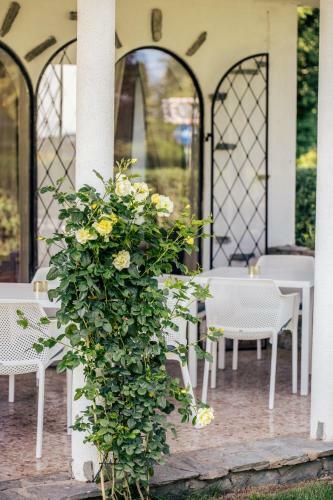 Boutiquehotel Caravella Velden