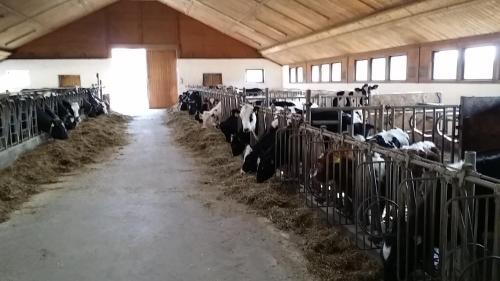 Agroturismo Ferienwohnungen Oranhof