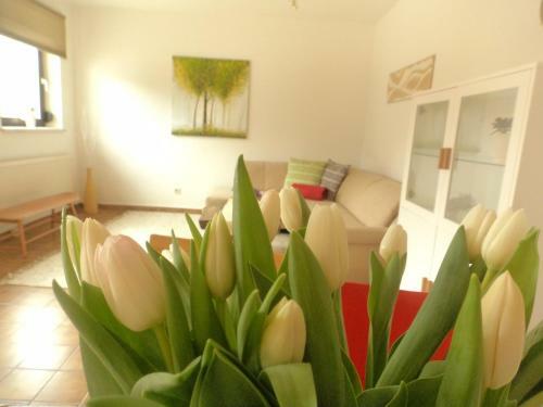 Apartamento Seerose-saissersee