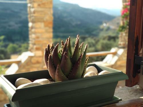Agroturismo Saint Anna Estate